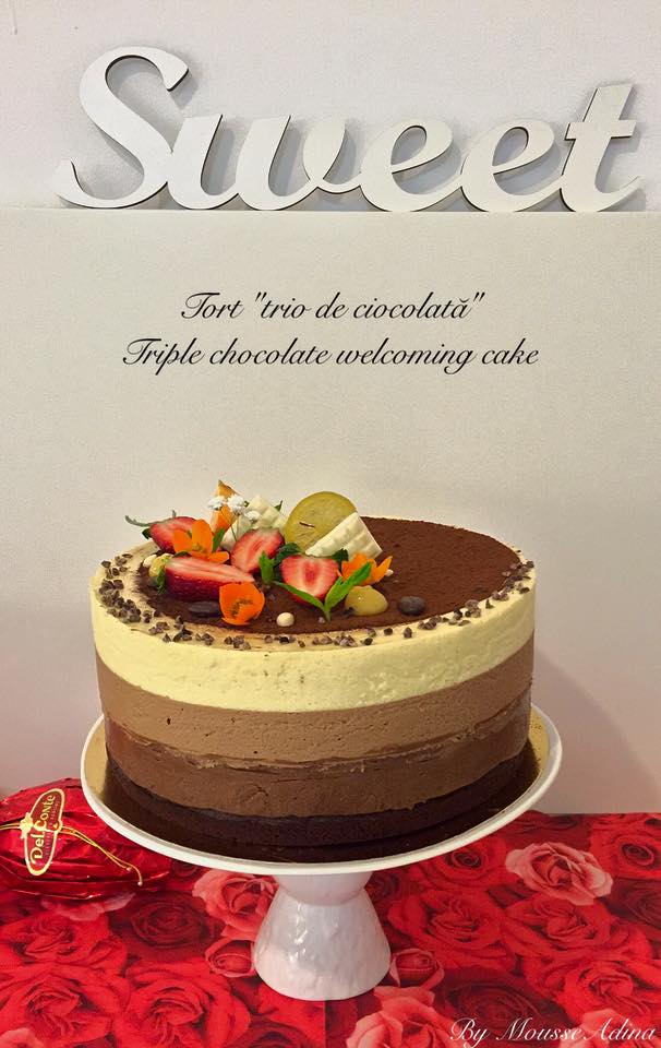 18033890_1894458023913066_5637538955417413365_n