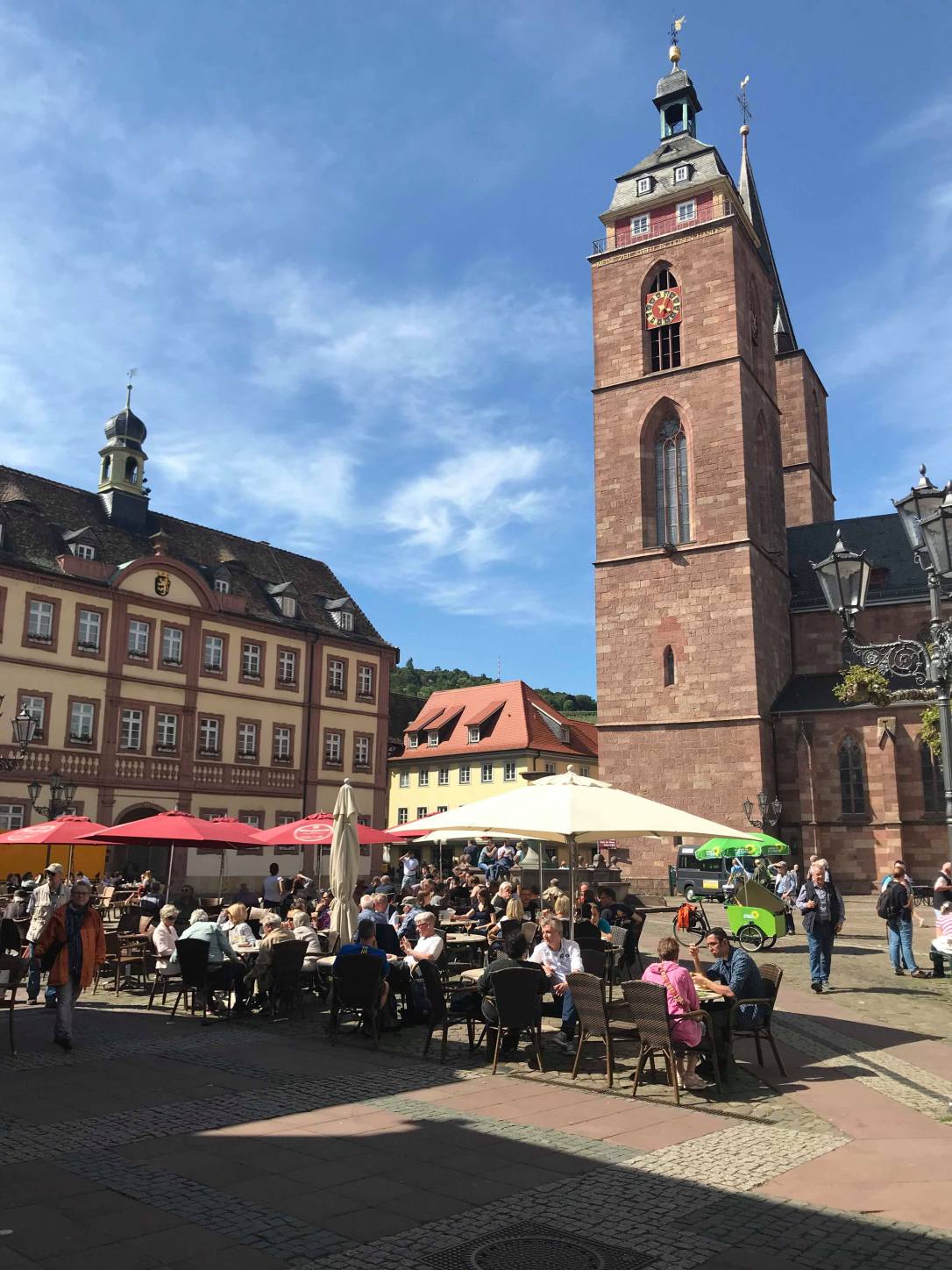 61819002_342036593149165_6255187105719255040_n